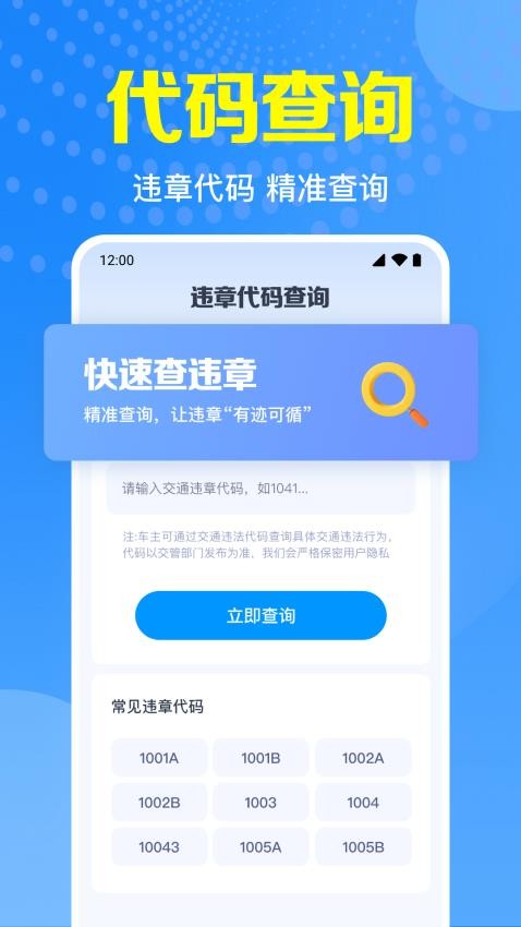 交通违章指南最新版(3)