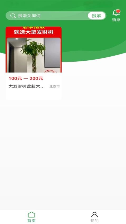 苗木嘉官网版(4)