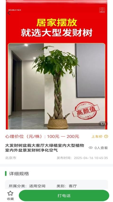 苗木嘉官网版(3)