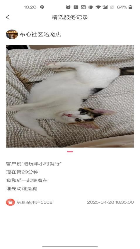 灰耳朵服务端官方版v1.0.2 2