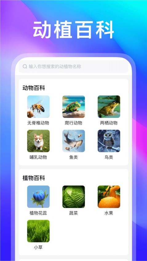 动物世界免费版v1.0.3 4