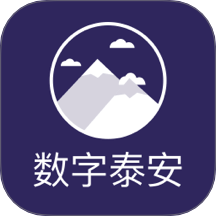 数字泰安官网版