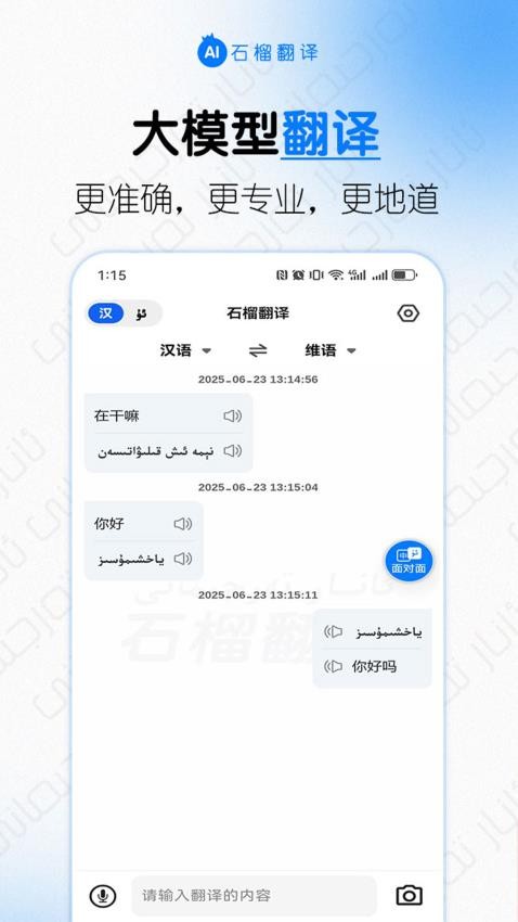 石榴翻译安卓版v1.0.0(4)