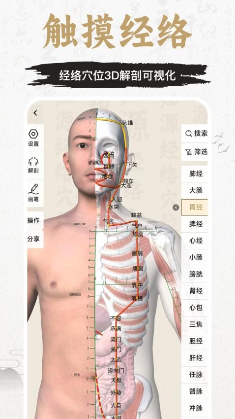 知源经络穴位3Dv3.3.0(2)