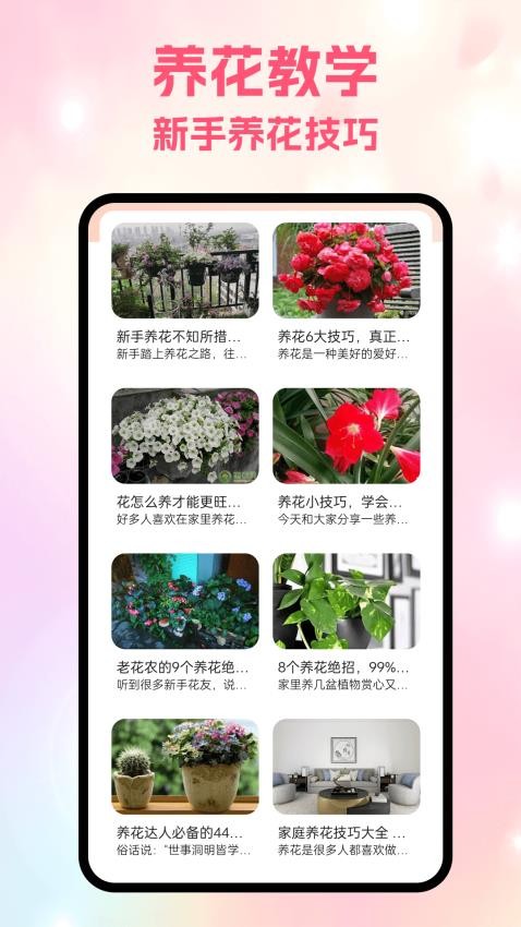 风信最新版v1.3(3)