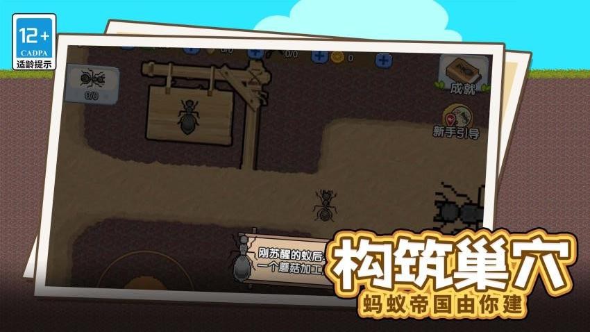 蚂蚁指挥官游戏v1.0.0(1)