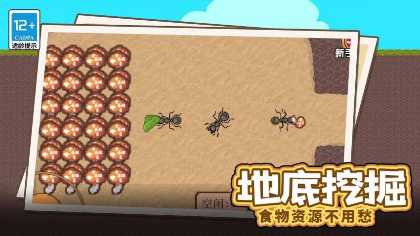 蚂蚁指挥官游戏v1.0.0(4)