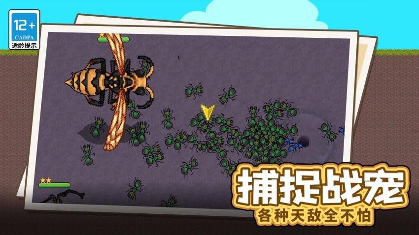 蚂蚁指挥官游戏v1.0.0(2)