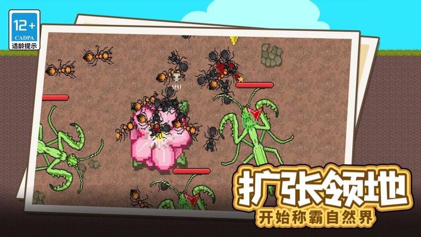 蚂蚁指挥官游戏v1.0.0(5)