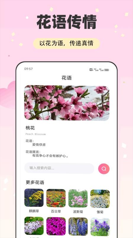 伊人t官網版v1.0.6 2