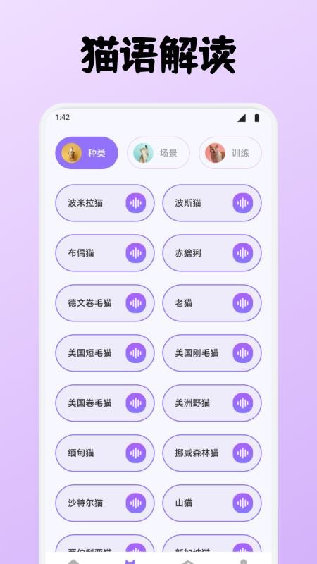 小貓玩具軟件