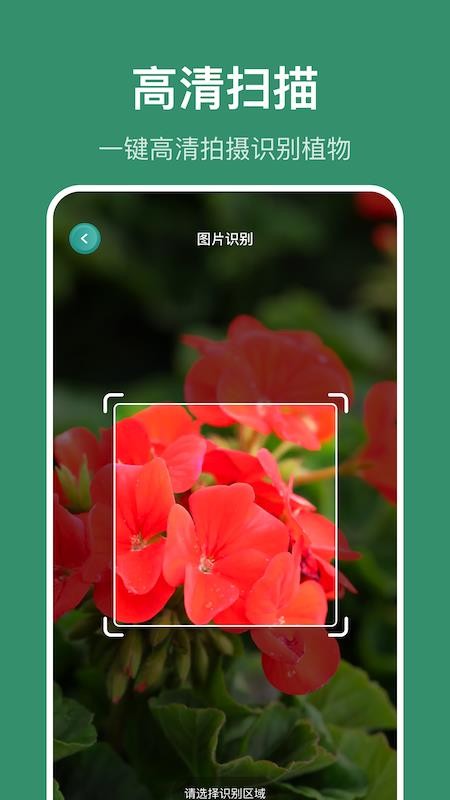 识花草app手机版v1.15(2)
