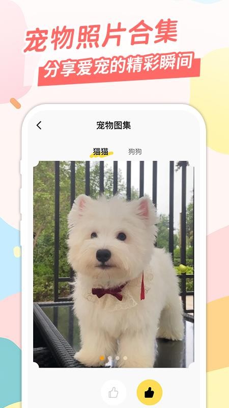 桌面宠手机版v1.0.3(3)
