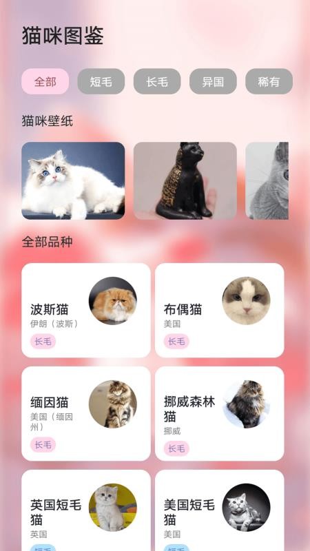 ymbollab最新版v1.1(1)