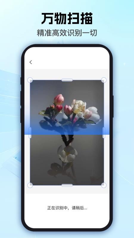 泡泡扫描王王官网版v1.0.0(3)