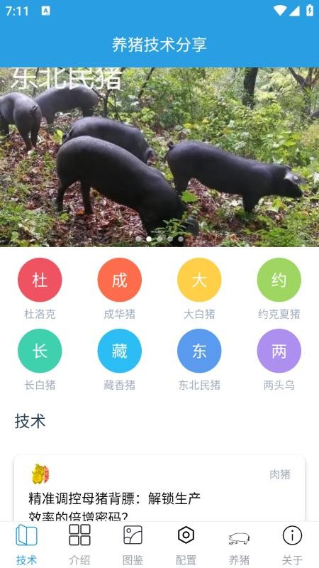 賺錢(qián)的養(yǎng)豬場(chǎng)免費(fèi)版軟件v1.0.9 2