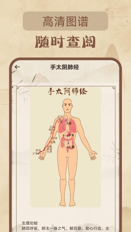 针灸经络穴位最新版v1.0.2(2)