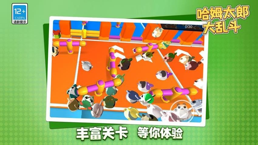 哈姆太郎大乱斗游戏v1.1.1 2