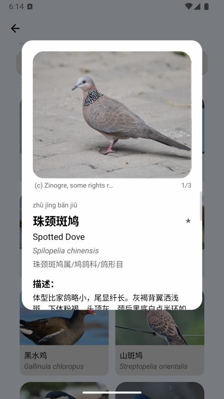 百鸟记app免费版v1.7.3(1)