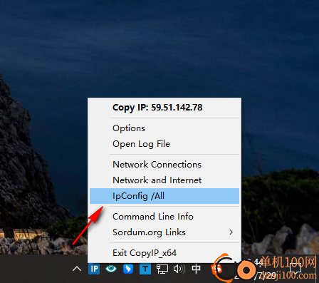 Copy IP(复制公共IP地址)