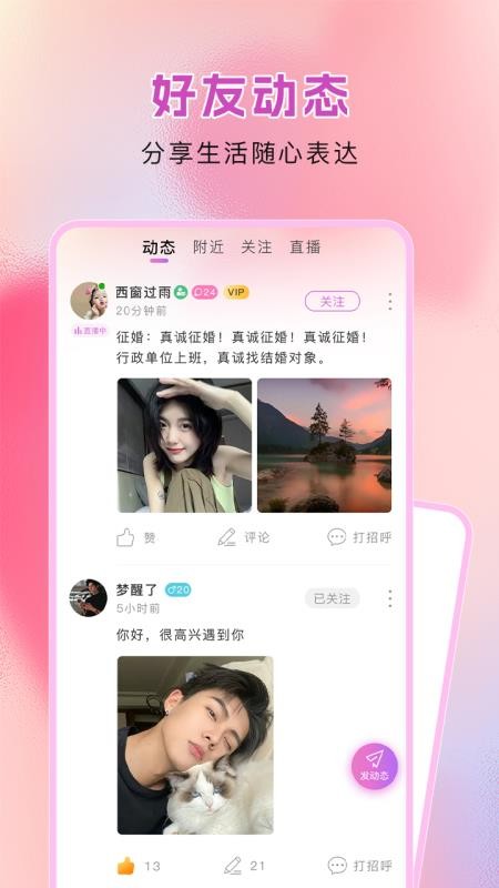 纯情手机版