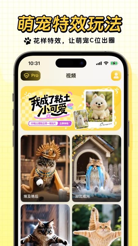 宠玩app手机版v1.2.1 1