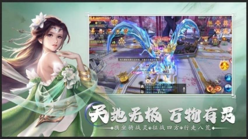 战国美人手游