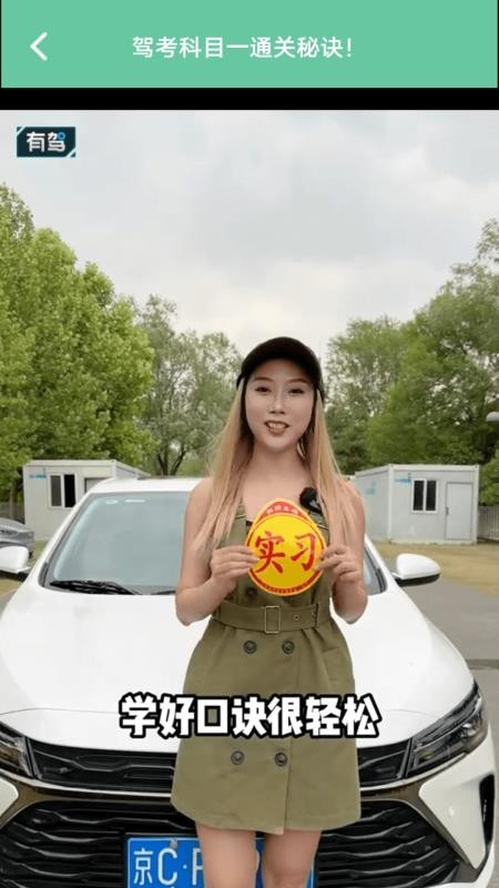 画极速驾官网版(2)