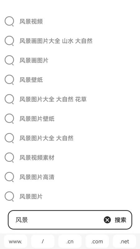 手机游览器官方版v1.3 1