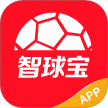 智球宝手机版 v1.0.4