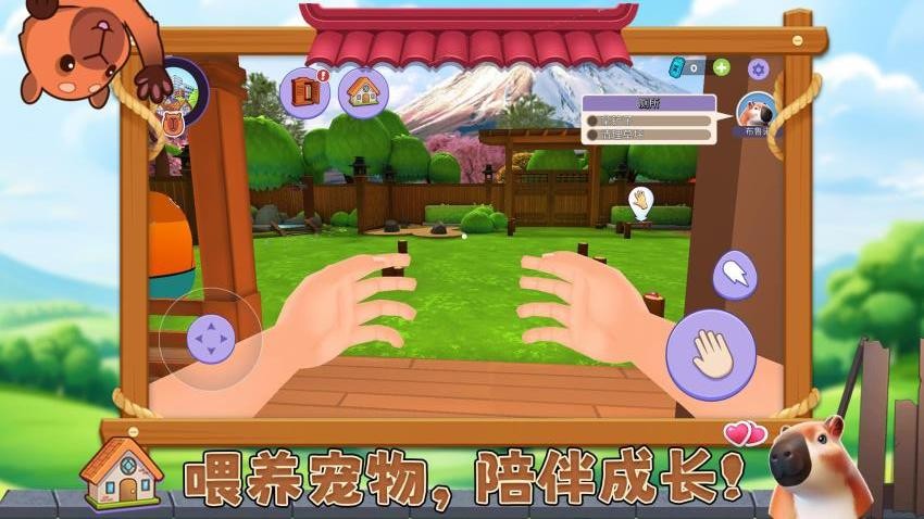 宠物消不停游戏