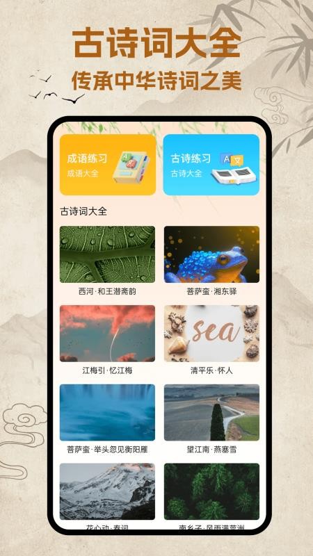 打字训练高手最新版