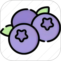 蓝莓音乐最新版 v1.1