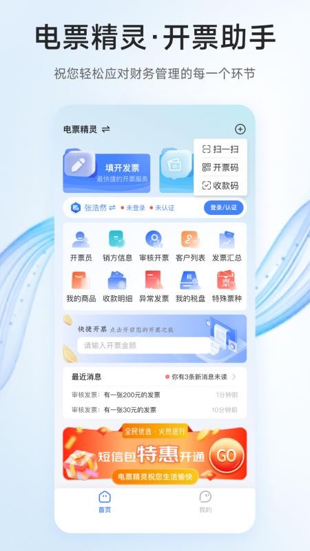 电票精灵软件