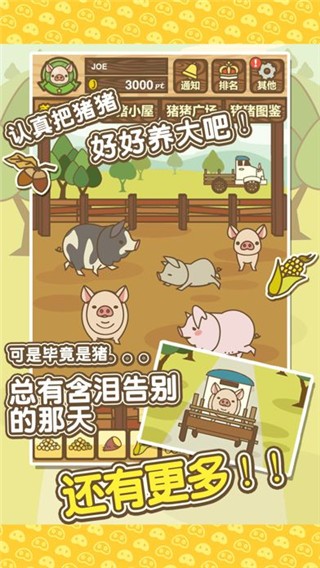 富豪养猪场v16.4 4