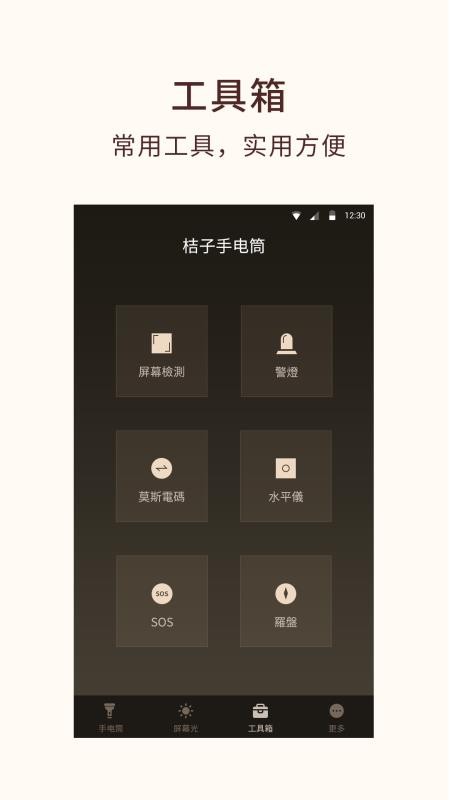 桔子手电筒appv7.9.3(3)