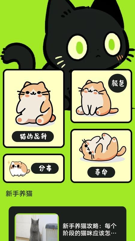 村庄叮叮猫官网版v1.2(4)