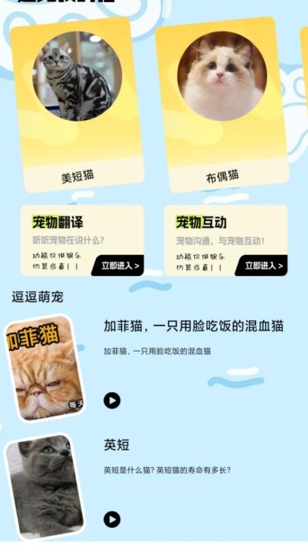 我的猫翻译最新版本v1.1(4)