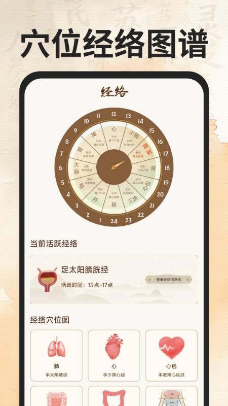 穴位经络图谱软件v1.0.0 5