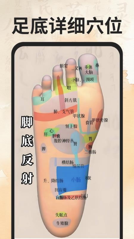 穴位经络图谱软件v1.0.0 3