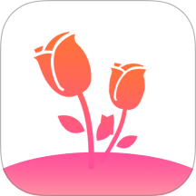 觅相伴官方版 v1.1.1