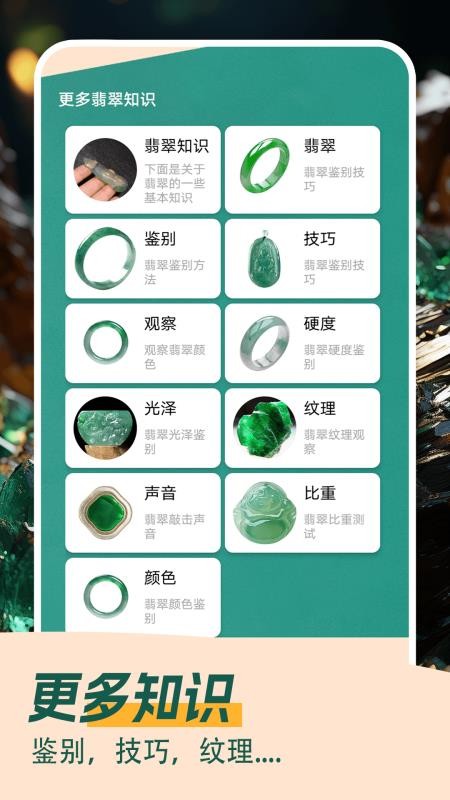 翡翠大王急速版软件v1.2(1)