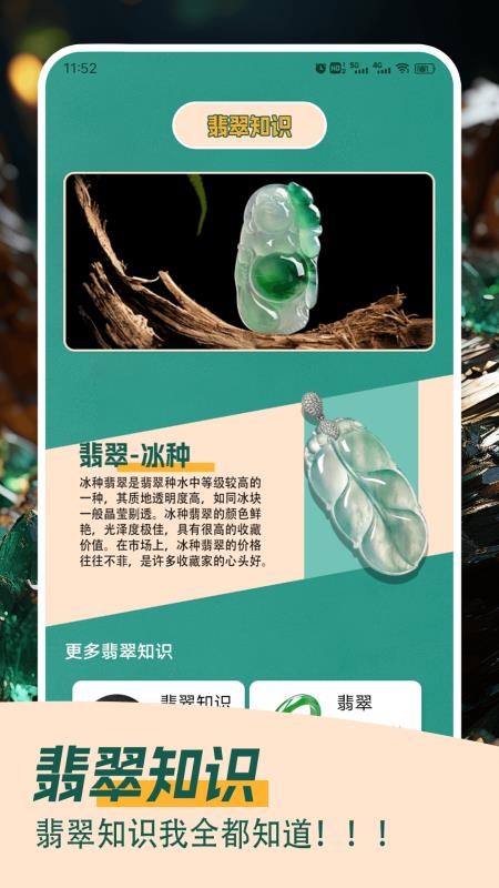 翡翠大王急速版软件v1.2(2)