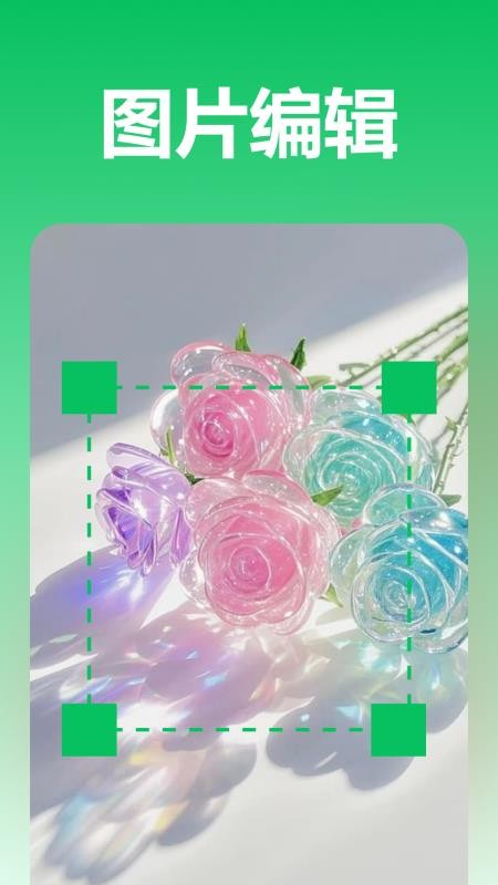 池鱼图片格式转换软件v1.0.0.0 3