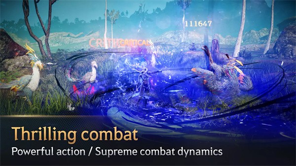 黑色沙漠国际版(Black Desert Mobile)v4.11.22 6