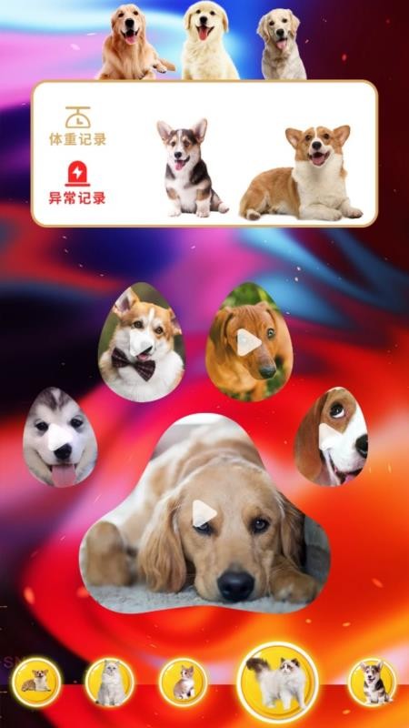 agosda翻译助手最新版v1.1(2)