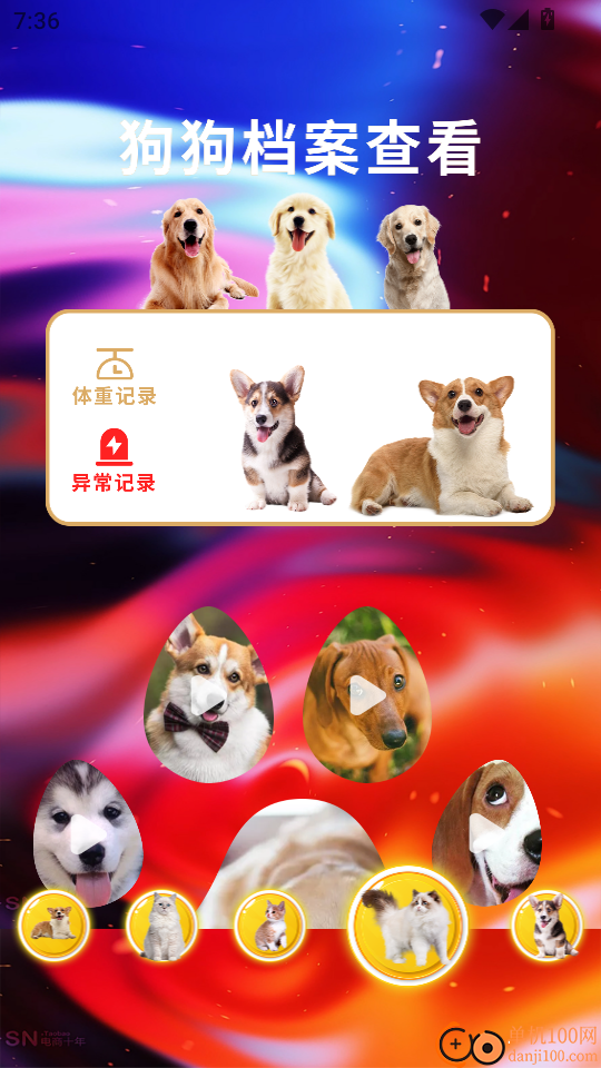 agosda翻译助手最新版