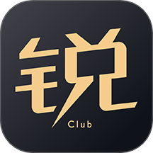 锐胜汽车官网版