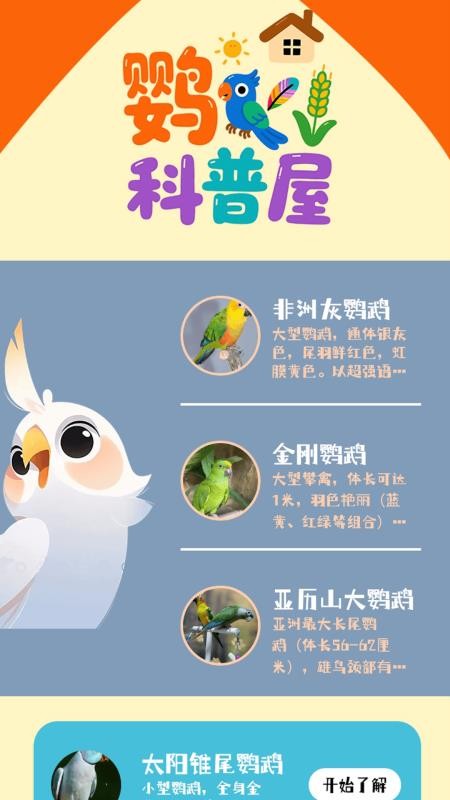 虎皮鹦鹉之屋免费版v1.3(4)