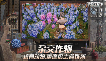明日之后国际服v2.0.548 4
